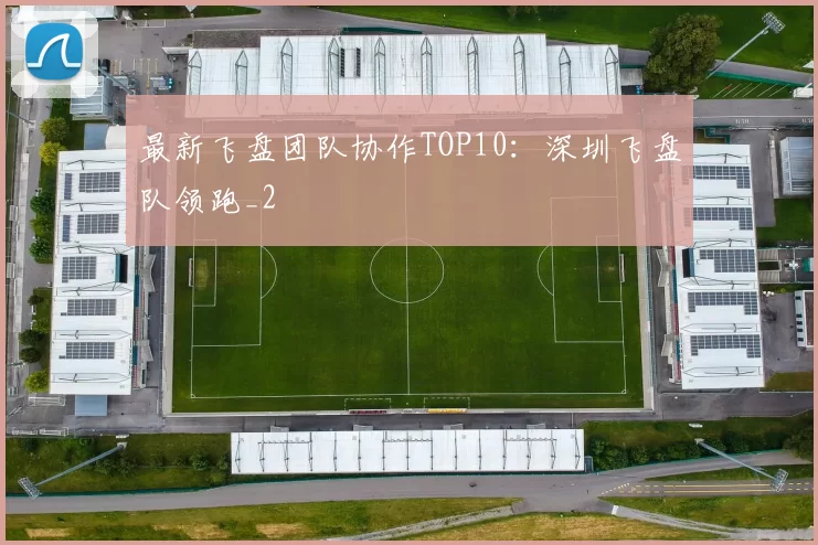 最新飞盘团队协作TOP10：深圳飞盘队领跑_2