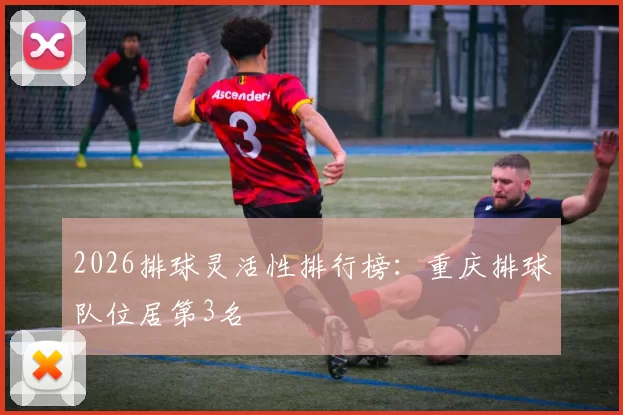 2026排球灵活性排行榜：重庆排球队位居第3名