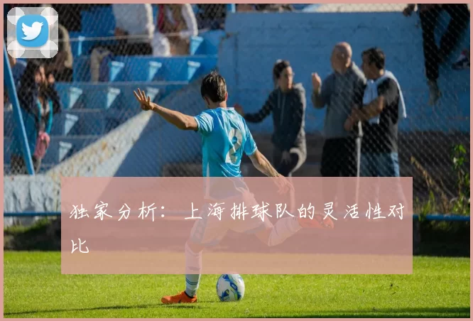 独家分析：上海排球队的灵活性对比