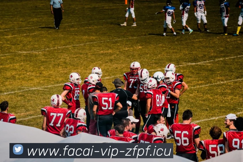 开云体育服务体系